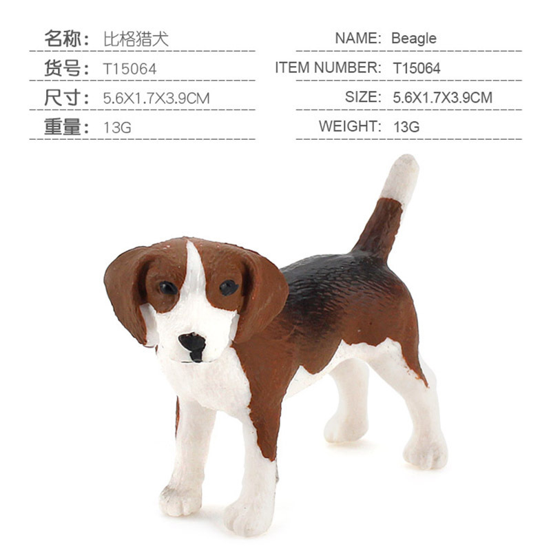 coloré PL127-1399 Beagle 13g
