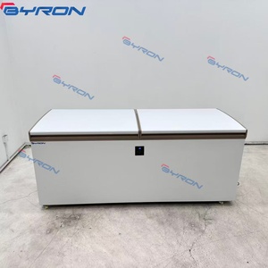 <span class=keywords><strong>Congelatore</strong></span> a <span class=keywords><strong>pozzetto</strong></span> per carne da cucina, attrezzatura refrigerante per supermercati, <span class=keywords><strong>congelatore</strong></span> a <span class=keywords><strong>pozzetto</strong></span> monotemperatura, <span class=keywords><strong>prezzo</strong></span> basso - Product Image 6