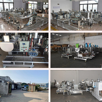 Semi Automatic Weighing Type Drum Filling Machine for Paint Epoxy Resin