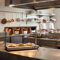 Lampes chauffantes électriques modernes en acier inoxydable pour buffet, argent/or, puissance 250W-1000W, pour usage commercial dans les restaurants et hôtels