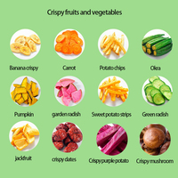Fruit, groente, snacks, gedroogd fruit en groenten, groothandel, bulk, gezonde snacks, HALAL, gemengde knapperige plakjes, gedroogde groenten