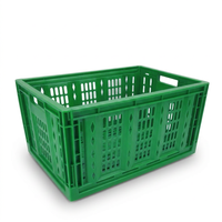 Caisses à légumes en plastique pliables, empilables, de qualité alimentaire, conteneurs pliants, prix de gros