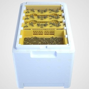 Nuevo Kit de Apicultura de Plástico para Principiantes, Caja de Cría de Abejas, Núcleo de Cría de Abejas Reina, Colmena - Product Image 6