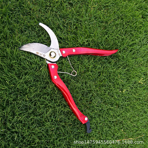 Dezhizhu Sk 5 Fruit Tree Pruning Shears Carbon Steel Red 20 30 Mm <b>Trimming</b> Diameter Taiwan Made Garden Tools - Product Image 1