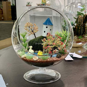 Slant Bowl <span class=keywords><strong>Terrarium</strong></span> Pflanzer <span class=keywords><strong>Terrarium</strong></span> Ball mit Ständer Klarglas Blumenvase DIY Sukkulenten Home Office Dekor Slant Cut <span class=keywords><strong>Orb</strong></span> - Product Image 6
