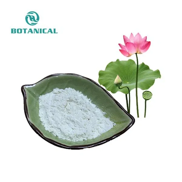 Sample Free Bulk Organic Lotus Leaf Extract Powder 1% 98% Nuciferine
