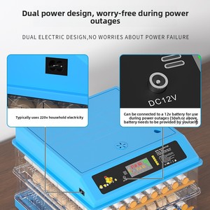 Fully Automatic Small Mini Rectangle Egg <strong>Incubator</strong> Hatching Box Cross-border Constant Temperature Chicken Duck Goose Quail - Product Image 2