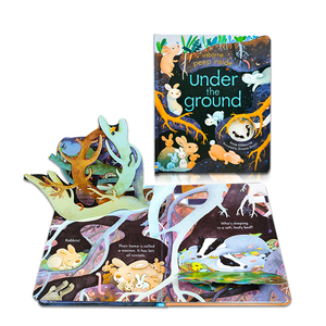 Livre cartonné personnalisé avec rabat pour enfants, livre d'apprentissage de <span class=keywords><strong>l</strong></span>'<span class=keywords><strong>anglais</strong></span> amusant en 3D, livre pop-up, services d'impression de livres pour enfants - Product Image 1