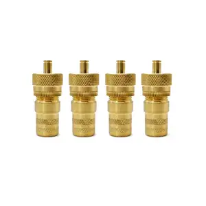 Cooper Brass Automatic Tire Deflate Valve For Vehicle Desert Tire US Standard 6-30psi