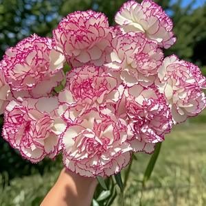 14 elegante künstliche Nelkenblüten mit rosa Akzenten – Segen und Gesundheit, 2 realistische Kunststoffsträuße geeignet - Product Image 3