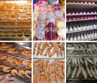 Groothandelsprijs 96 Lagen 28 Lagen 80 Lagen Commerciële Industriële Vlees Voedsel Fruit Dehydrator Droogmachine