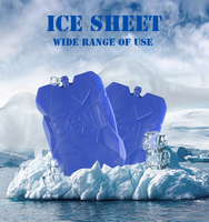 Blocs de glace multifonctionnels en HDPE, couleur et taille personnalisables, qualité alimentaire, idéaux pour la pêche, le barbecue, les pique-niques et la cryothérapie