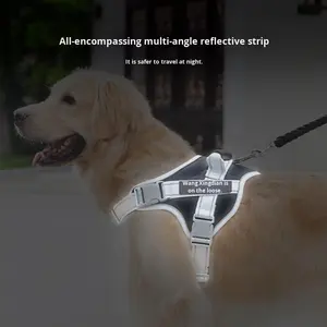 Arnés de moda para mascotas para perros medianos a grandes Anti-Pull para decoraciones de cinta de diseño de velcro para correa dorada para caminar - Product Image 3