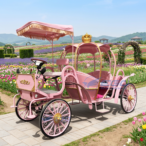 Nouvelle Carrosse Princesse Citrouille Électrique Rose Homologuée CE, Design Cendrillon, Couleur Personnalisée, Économique pour Mariage - Product Image 1