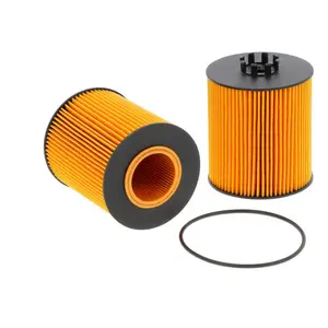 Rsdt Supply Hot Sell Engineering Machinery Parts Lube Oil Filter Element P550938 RE509672
