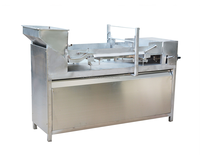 Automatische Fruitbroodjes Maken Machine Fruitrol Productielijn Fruit Snoep Machine