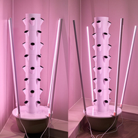 Systèmes de culture hydroponique neufs, directement de l'usine, jardinières verticales d'intérieur avec éclairage LED pour la croissance des plantes