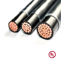 Thhn/Thwn 12Awg 14Awg 2,5 Mm Pvc Nylon Cobre Trenzado Aislamiento Eléctrico Construcción Cables y Cables