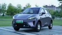 Mini SUV Électrique 3000W, Véhicule à Énergie Nouvelle à Quatre Roues pour Familles, Conduite à Gauche, Batterie Économique Fabriquée en Chine