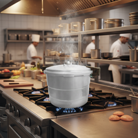 Ensemble de cuisinière à gaz en aluminium anti-explosion haute pression non électrique, écologique, avec conteneur de rangement de cuisine, prix raisonnable