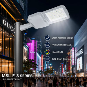 Ledmic 100W 150W 200W MSL-F-3 Farola LED de Estética Urbana para Zonas Comerciales y Pasillos Peatonales - Proveedor Premium - Product Image 1