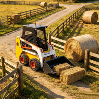 Mini-chargeuse directement du fabricant, chargeuse sur roues et sur chenilles, chargeuse polyvalente pour l'agriculture et la construction à bon prix