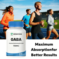 Capsules de GABA Pureté 99% - Supplément d'acide gamma-aminobutyrique pour adultes, Fournisseur d'usine OEM/ODM Vente en gros