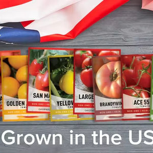 8 Variétés de <span class=keywords><strong>Tomates</strong></span> <span class=keywords><strong>Anciennes</strong></span> Écologiques pour Jardin Domestique – Sachet Zip Refermable – Idéal pour Engrais, Alimentation, Farine - Product Image 2