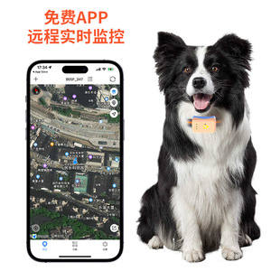 Pet Tracker <b>GPS</b> Collar 4G Full Network Real Time Tracking For Dogs Cats Animals Anti Lost Security <b>Locator</b> - Product Image 1