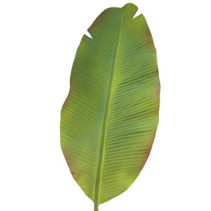 Commercio All'ingrosso di <span class=keywords><strong>Vendita</strong></span> calda di Seta Decorativo Pianta di Simulazione Hom Dicembre Artificiale Foglie di <span class=keywords><strong>Piante</strong></span> per le Decorazioni - Product Image 1