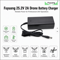 Chargeur de batterie lithium-ion 25,2 V 2 A 6S pour planche à roulettes électrique et pistolet de massage avec certification mondiale