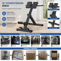 Chaise romaine FRS durable, réglable et pliable, banc d'hyperextension 5-7 niveaux, design stable et peu encombrant pour la maison et la salle de sport, extension dorsale