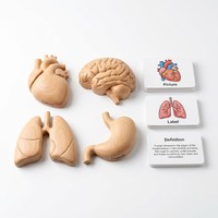 Ensemble de cartes flash personnalisées Montessori en papier et bois pour l'association des organes humains : Cœur, Cerveau, Poumon, Estomac (3 parties) avec images, étiquettes et définitions