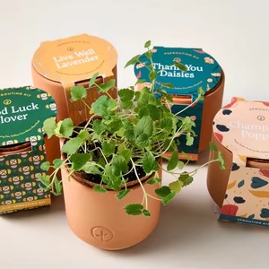 Kit de démarrage d'herbes d'intérieur en terre cuite minuscules marguerites <span class=keywords><strong>lavande</strong></span> coquelicots et trèfle 4 acceptent le kit de culture de jardin d'herbes bricolage personnalisé - Product Image 3