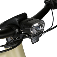 Moteur central silencieux de style européen 250W 500W Vélo pour femme 720Wh Vélo de trekking Vélo électrique 700C Vélo de route à roues