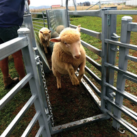 Panneaux de clôture pour animaux de ferme, moutons, en acier galvanisé à chaud de haute qualité, 4 pieds, modernes, portables, robustes