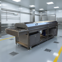 Machine automatique de lavage de légumes, de viande et d'aliments en acier inoxydable industriel