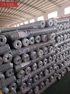 Hot Dipped Galvanized Mighty Double/triple Twisted Poultry Cage Hexagonal Concrete Wire Mesh