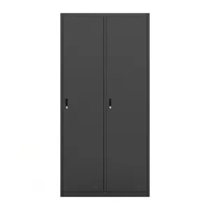 Luoyang Wise Iron Office Furniture 2 Doors Clothing Steel Locker And Wardrobe