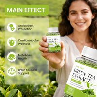 Capsules d'extrait de thé vert YTBIO 400 mg, complément alimentaire pour le soutien quotidien de la santé, étiquette privée OEM