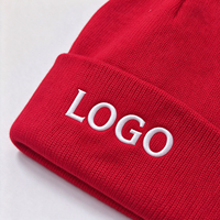 Bonnet en tricot à revers avec logo brodé personnalisé, chaud en acrylique pour l'hiver, pour hommes et femmes, vente en gros, sports de plein air
