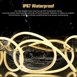 Ruban LED RGB néon flexible 24V IP67, 360 degrés, 16 mm, 25 mm, étanche IP67, pour la décoration de la maison - Product Image 3