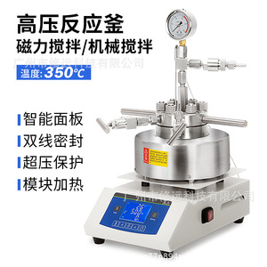 เครื่องปฏิกรณ์แรงดันสูง 50-500 มล. สแตนเลสสตีล พร้อมหน้าจอดิจิตอล สำหรับใช้ในห้องปฏิบัติการ - Product Image 2