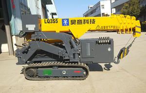 Service de location de grues, fournisseur de grues araignées hydrauliques - Product Image 5