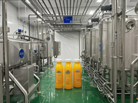 Complete installaties voor de verwerking van ananassap, inclusief sapverwerkingslijn en drankenproductie met fruit-sap pasteurisator.
