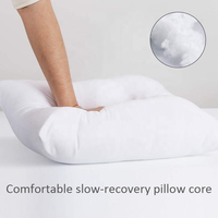 Housse de coussin et doublures de coussin intérieures modernes, douces, blanches, carrées, non tissées, respirantes et écologiques, en stock, pour la décoration de lit et de canapé