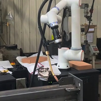 DREAMON Brazo Robótico Colaborativo Industrial (Cobot) de 6 Ejes con Motor, Carga Útil de 5 kg, Aplicación de Soldadura, 380 V, 19 kW de Potencia