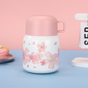 उच्च मूल्य वाले चांदी स्टेनलेस स्टील 316 वैक्यूम इन्सुलेट बेकर आधुनिक डिजाइन पोर्टेबल सूप कप लड़कियों के लिए थोक - Product Image 6