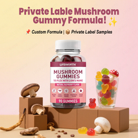 Compléments alimentaires végétaliens nootropiques Lifeworth Fiber, gommes à mâcher au champignon Lion's Mane, améliorent l'immunité, étiquette privée personnalisable