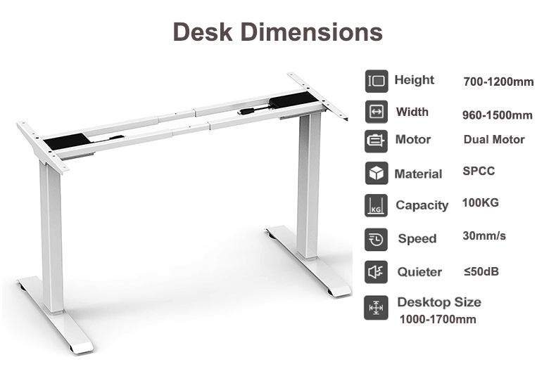 Dual motor 100KG Load